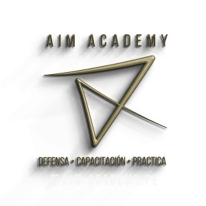 AIM ACADEMY transparent Logo on wall