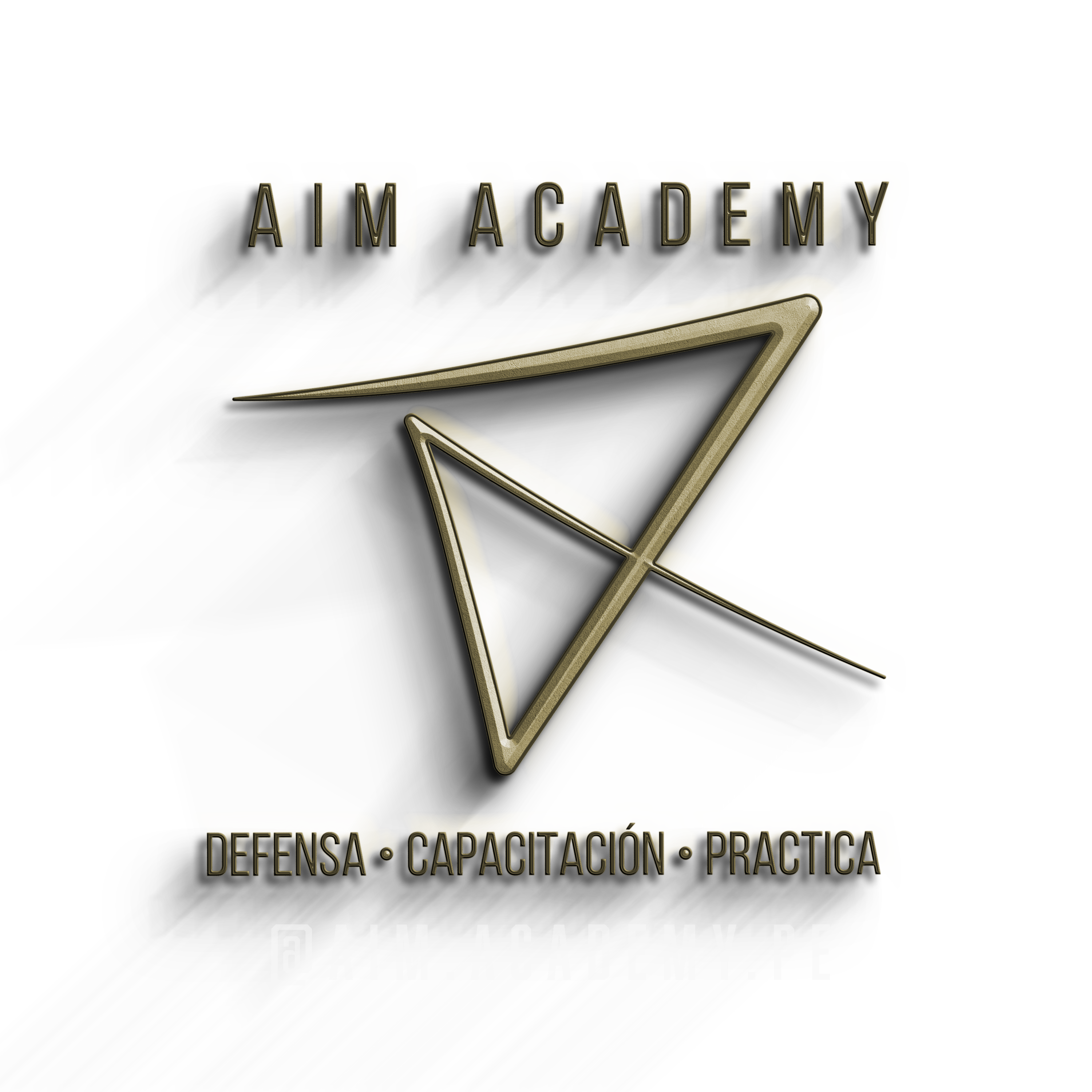 AIM ACADEMY transparent Logo on wall