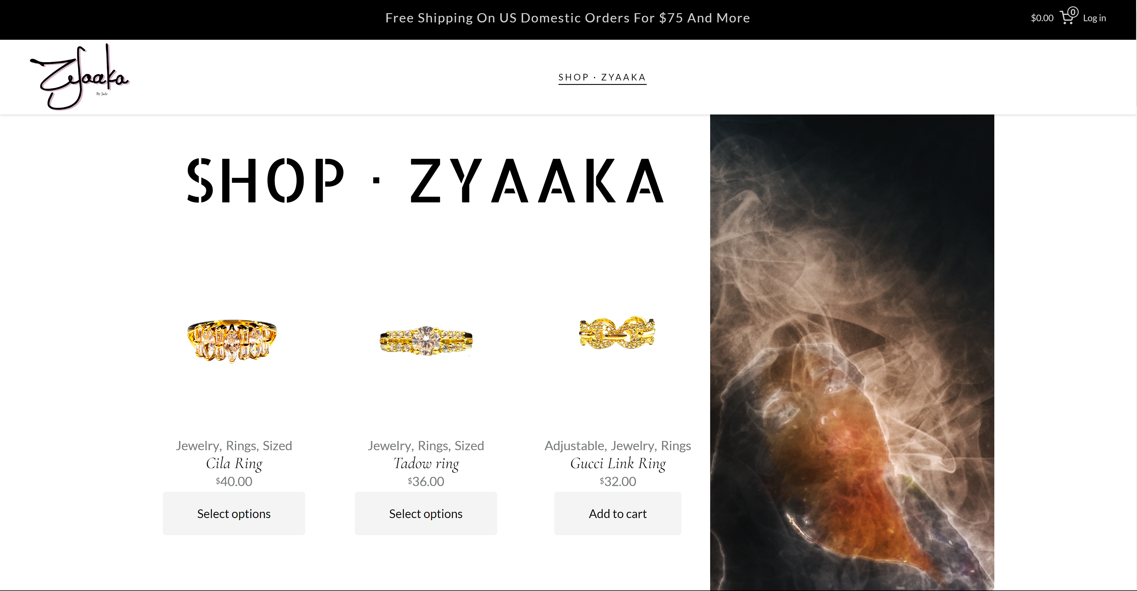 fake website 9